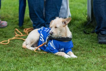 Bild 630 - U16 Deutsche Meisterschaft